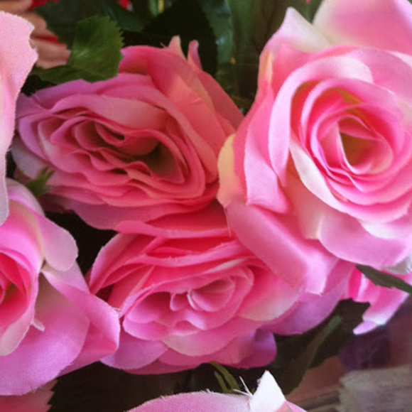 Meet your Posher, Diane - Picture 1 of 1